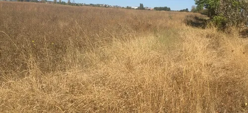 Sècheresse en Côte d’Or : renforcement des mesures de restriction...