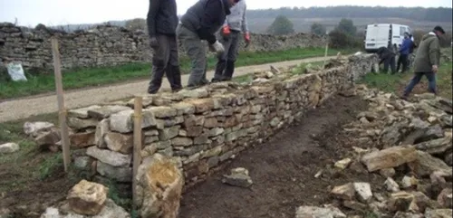 Ils restaurent un mur de vigne à Ladoix-Serrigny