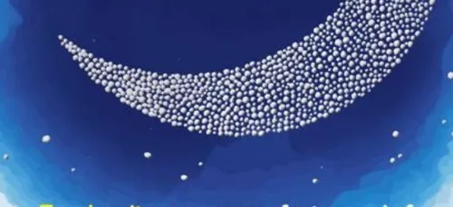 NUIT DES ETOILES 2019 CHOUETTE ASTRONOMIE