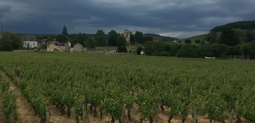 Météo : La Côte-d’Or est en vigilance jaune orages  