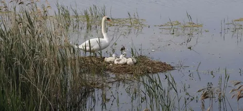 Fermeture du sentier pédagogique de l’Espace Naturel Sensible de...