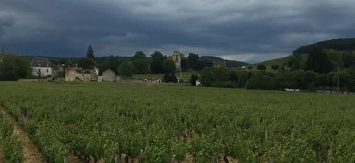 Orages : des dégâts limités en Côte d’Or