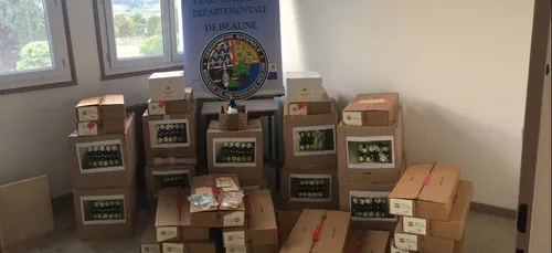 3 000 bouteilles de vin volées à Vosne Romanée : 4 personnes...