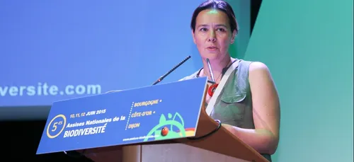 Stéphanie Modde désignée tête de liste EELV pour les municipales à...