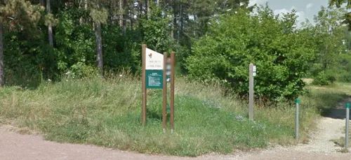 Rendez-vous ce dimanche pour la plantation de la "Forêt des enfants"