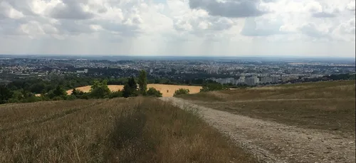 Les infos qu’il ne fallait pas rater cette semaine en Côte d’Or