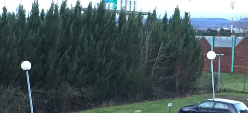 Gros coup de vent attendu cette nuit en Côte d'Or