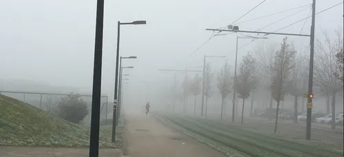 Le brouillard devrait vite se dissiper, la douceur arrive