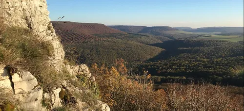 Les infos qu’il ne fallait pas rater cette semaine en Côte d’Or