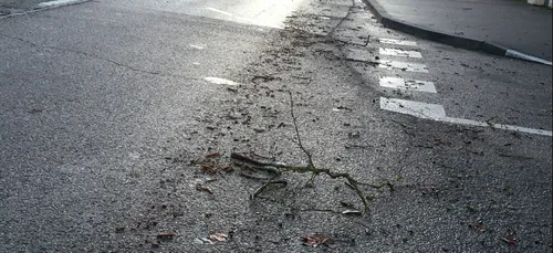 Quelques dégâts en Côte d’Or à cause du vent