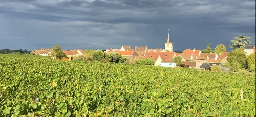 Les infos qu’il ne fallait pas rater cette semaine en Côte d’Or