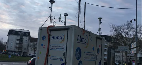 La surveillance des pollens redémarre en Bourgogne