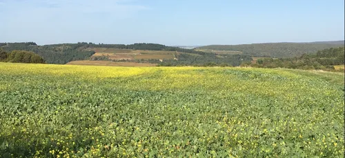 Les infos qu’il ne fallait pas rater cette semaine en Côte d’Or
