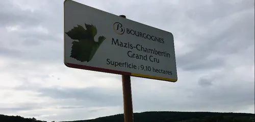 La Bourgogne viticole cartographiée numériquement jusqu’aux AOC...