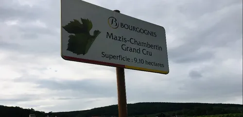 Une formation en ligne sur les vins de Bourgogne pour vous occuper