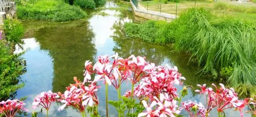 Côte d’Or Tourisme vous propose « d’éveiller vos sens »