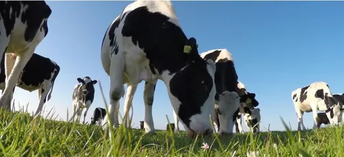 Soutenir les producteurs locaux et se faire plaisir tout en restant...