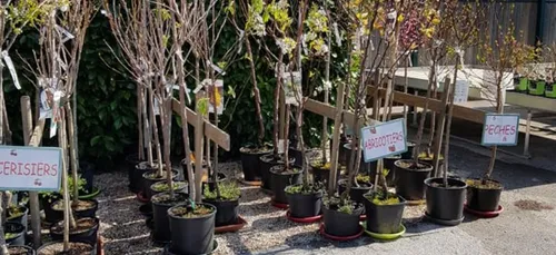 « Un jour, un commerçant » : Villaverde à Bretenière