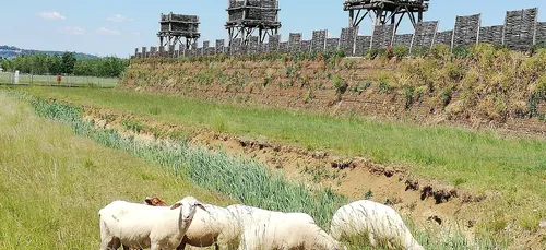 Le MuséoParc prépare sa réouverture
