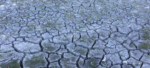 Sècheresse en Côte d’Or : des mesures de restriction d’eau dès ce...