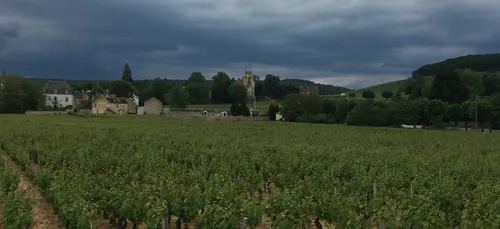 Vigilance jaune aux orages en Côte d’Or
