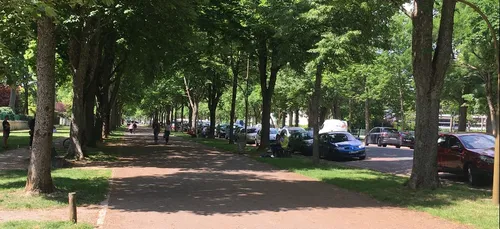 Les infos qu’il ne fallait pas rater cette semaine en Côte d’Or