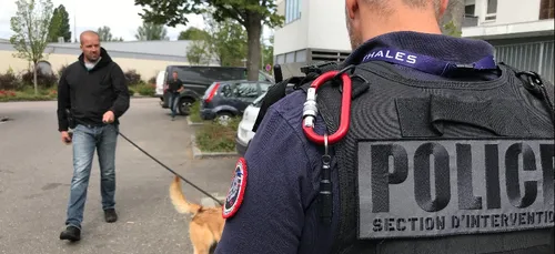 Des armes blanches et de la drogue saisis à Quetigny