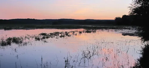 LE CONSERVATOIRE D'ESPACES NATURELS DE BOURGOGNE REPREND SES ACTIVITES