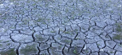 Sècheresse : la situation de crise se généralise en Côte-d’Or