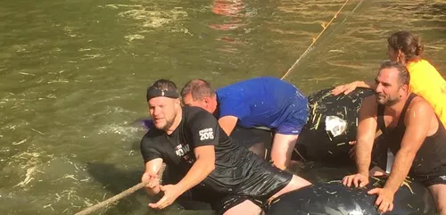 « L’AgriRun », une course fun ce dimanche dans le Châtillonnais