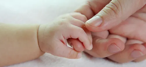 Le pic de naissances s’est décalé du printemps à l'été en...