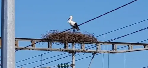 Un partenariat entre SNCF Réseau et la Ligue pour la Protection des...