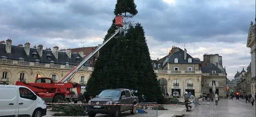 Un grand sapin de Noël en cours d’installation place de la Lib