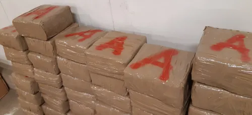 Saisie exceptionnelle de plus d’une tonne et demie de cannabis par...