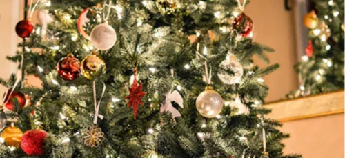 Le plus beau sapin de Noël est-il chez vous ?