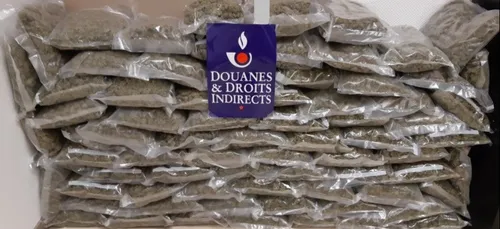 De nombreuses saisies de drogue réalisées en novembre en Côte d’Or