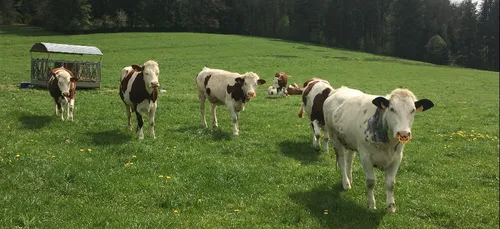 Politique agricole commune (PAC) : 104 millions d'euros d'aides...