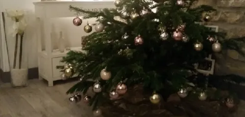 DONNEZ UNE SECONDE VIE À VOTRE SAPIN DE NOËL !