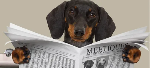 TIO PEPE NOUS SURPREND AVEC UN LIVRE AUTOBIOGRAPHIQUE   