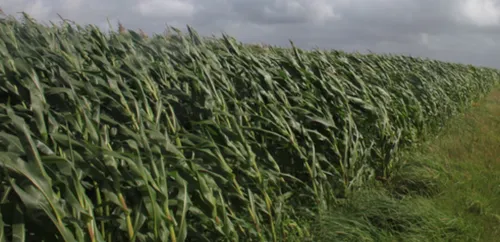 La dépression « Bella » a commencé sa traversée de la Côte-d'Or.
