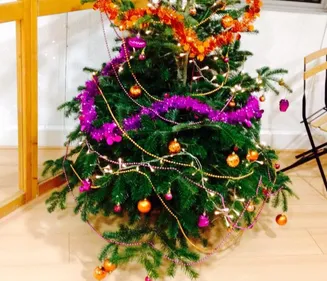 DES CE LUNDI, DONNEZ UNE SECONDE VIE À VOTRE SAPIN DE NOËL !