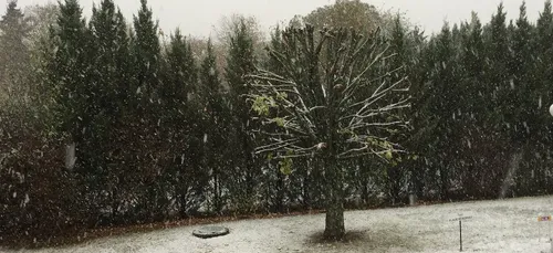 Il a neigé sur Dijon, le soleil annoncé pour ce week-end