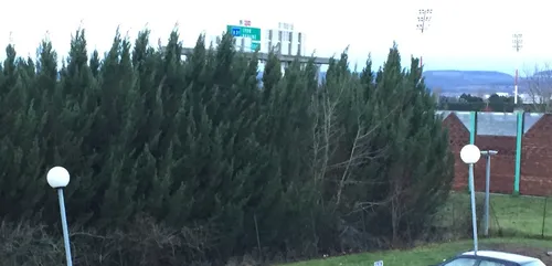 Vigilance jaune pour vents violents en Côte d’Or