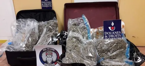 Lutte contre le trafic de drogue en Côte-d’Or : près d'un million...