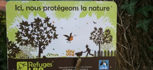 La Ligue pour la Protection des Oiseaux veut installer plus de...