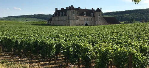 La vente des vins des hospices de Nuits-Saint-Georges est à suivre...