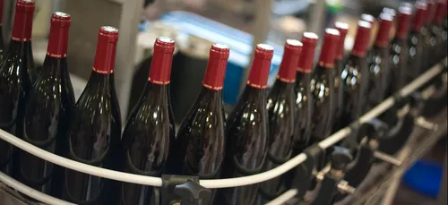 Vins de Bourgogne : stabilité économique en 2020, espérance d'un...