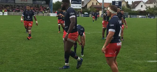 Le Stade Dijonnais en déplacement à Albi