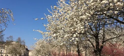 Les infos qu’il ne fallait pas rater cette semaine en Côte d’Or