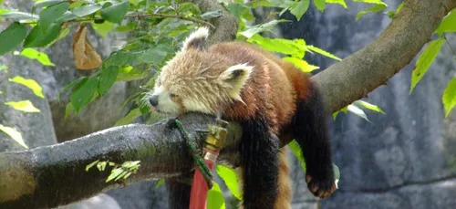 Météo France annonce un été très chaud !